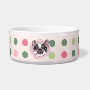 French bull dog and colourful dots