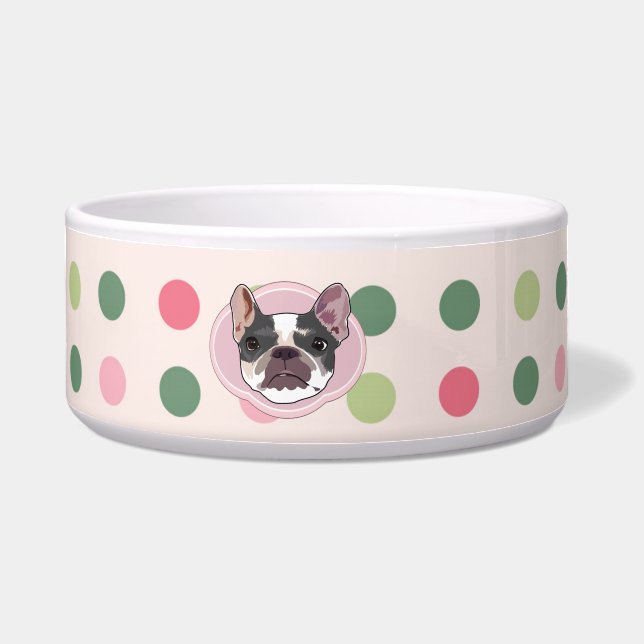 French bull dog  and colourful dots (Front)