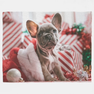 FRENCH BULL DOG FLEECE BLANKET