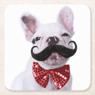 French Bull Dog Puppy With Moustache Square Paper Coaster