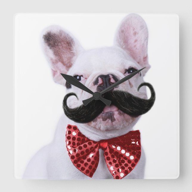 French Bull Dog Puppy With Moustache Square Wall Clock (Front)