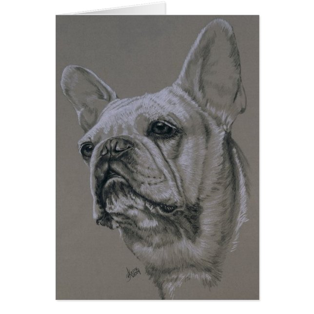 French Bulldog (Front)