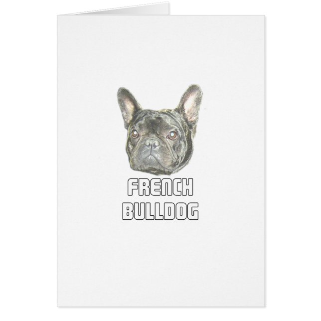 French Bulldog (Front)