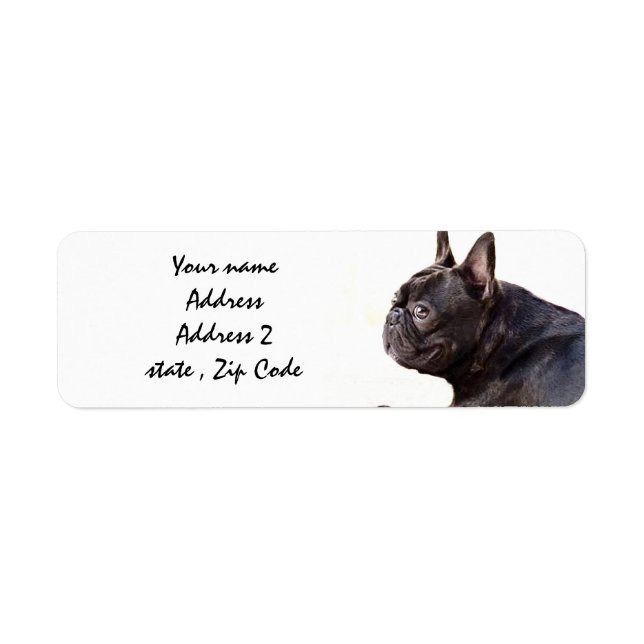 French Bulldog (Front)