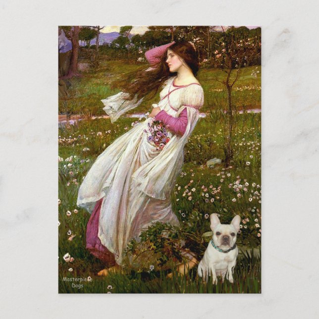 French Bulldog 1 - Windflowers Postcard (Front)