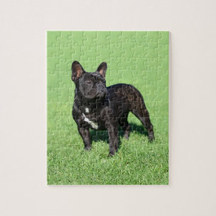 French Bulldog 2 Jigsaw Puzzle