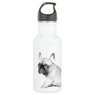 French Bulldog 532 Ml Water Bottle