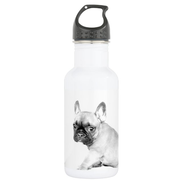 French Bulldog 532 Ml Water Bottle (Front)
