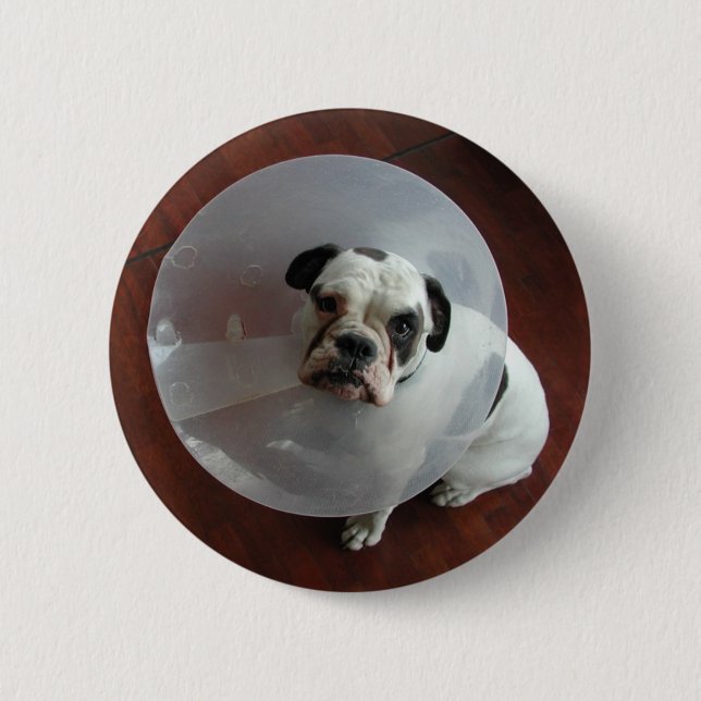 French Bulldog 6 Cm Round Badge (Front)