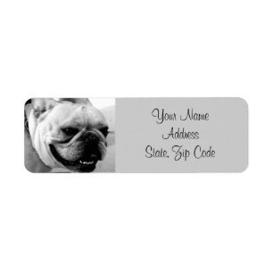 French Bulldog Address Labels