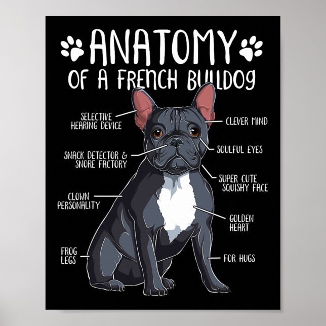 French Bulldog Anatomy Frenchie Dog Lover Owner 2  Poster (Front)
