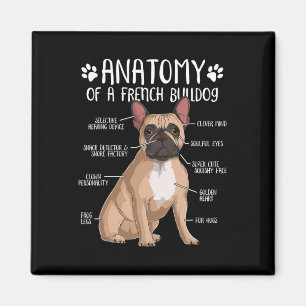 French Bulldog Anatomy Frenchie Dog Lover Owner  Magnet