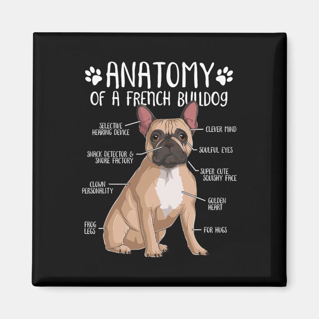 French Bulldog Anatomy Frenchie Dog Lover Owner  Magnet (Front)