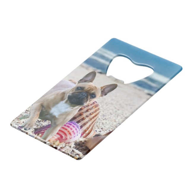 French Bulldog at the beach (Back Angled)