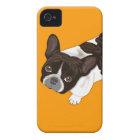 French Bulldog Bailey