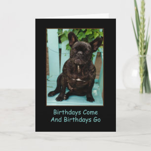 French Bulldog Birthday Card Funny
