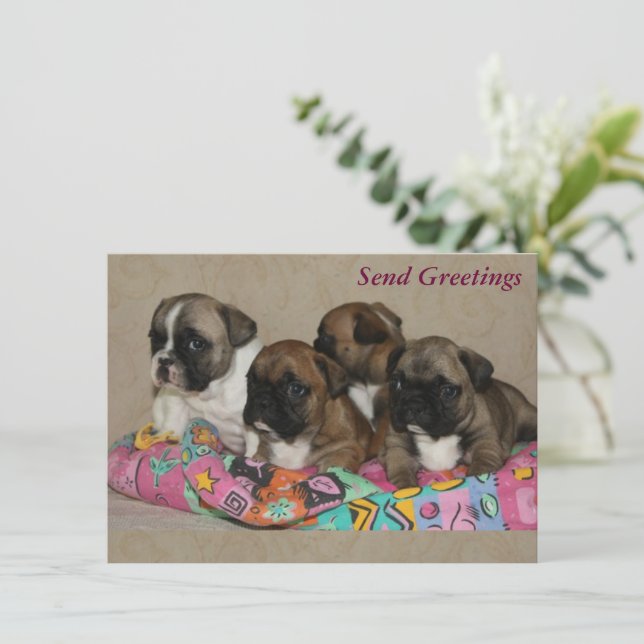 French Bulldog Birthday French Bulldog (Standing Front)