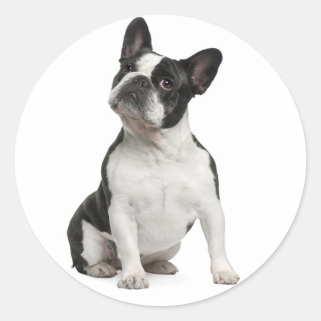 French Bulldog Black And White Puppy Dog Classic Round Sticker (Front)