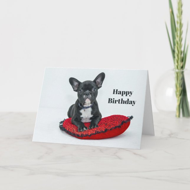 French Bulldog Black Pillow Photo Birthday Card (Front)