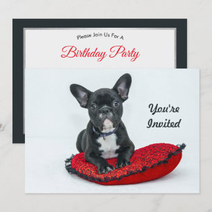 French Bulldog Black Pillow Photo Birthday Invitation