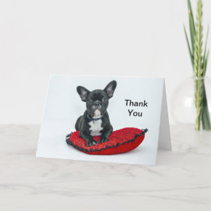 French Bulldog Black Pillow Photo Thank You Card