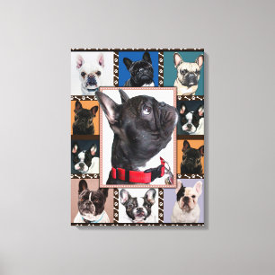 French Bulldog Blanket, French Bulldog Throw, Canvas Print