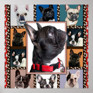 French Bulldog Blanket, French Bulldog Throw, Poster