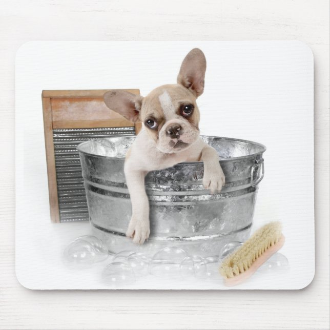 French Bulldog Brown & White Puppy Dog Taking Bath Mouse Mat (Front)