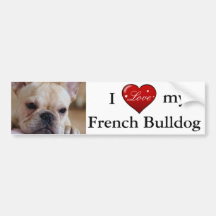 French Bulldog Bumper Sticker