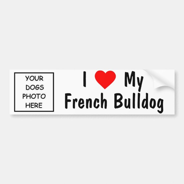 French Bulldog Bumper Sticker (Front)