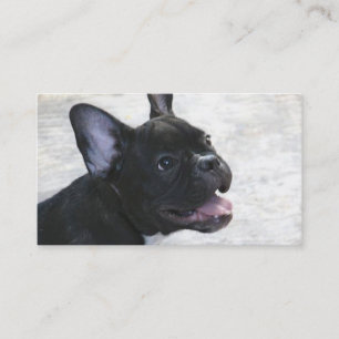 French Bulldog business cards