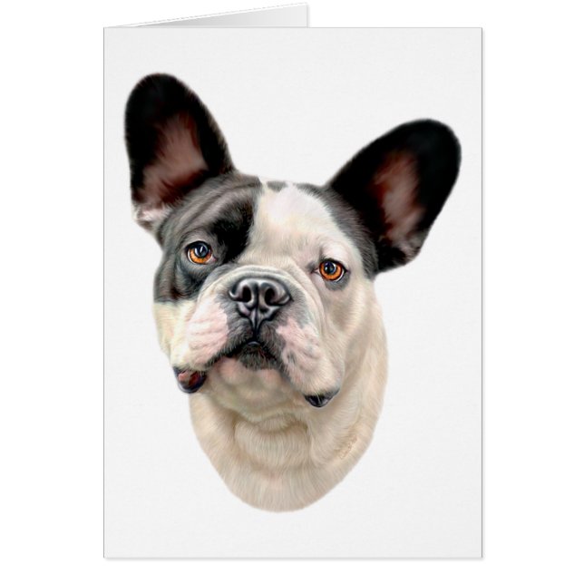 French Bulldog BW Bust (Front)