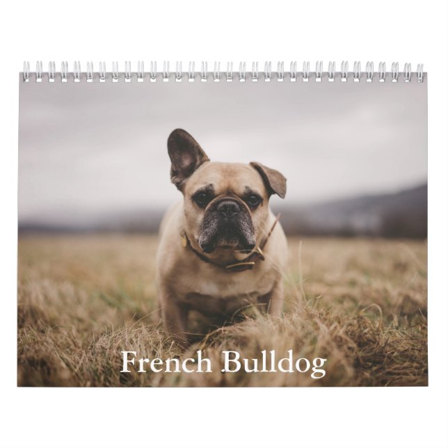 French Bulldog Calendar (Cover)