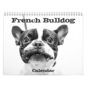 French Bulldog Calendar 2016 Black White Custom