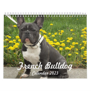 French Bulldog Calendar 2023 Add Your Photos