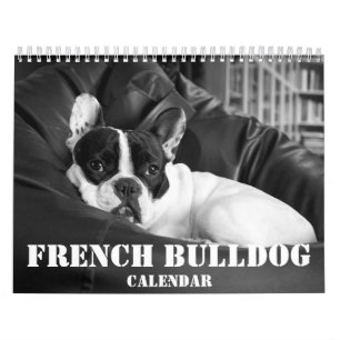 French Bulldog Calendar 2023 Black White Photos
