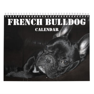 French Bulldog Calendar 2025 With Photos