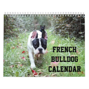 French Bulldog Calendar Add Your Photos