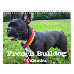 French Bulldog Calendar Custom Photos