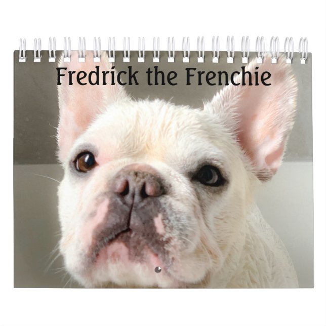 French Bulldog Calendar-Fredrick the Frenchie Calendar (Cover)