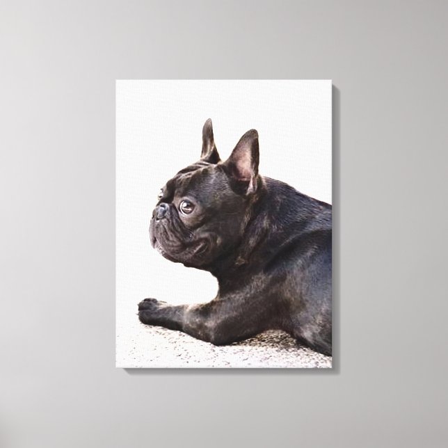 French Bulldog Canvas Print (Front)