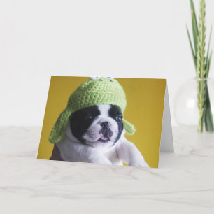 French Bulldog Card