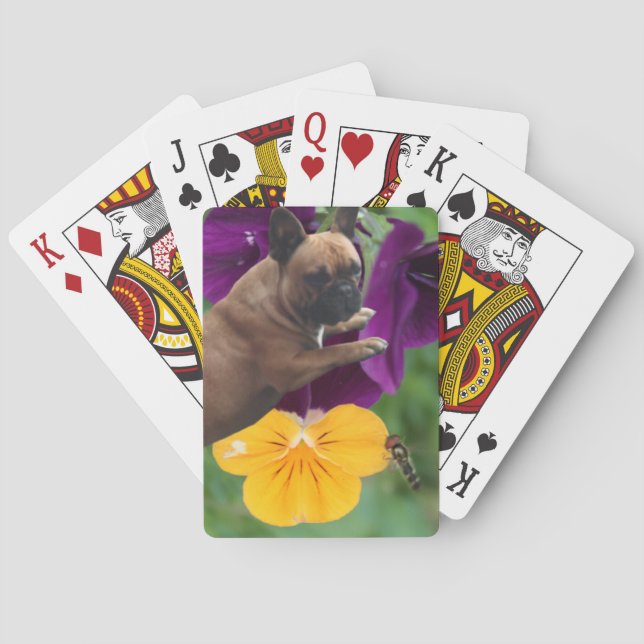 French Bulldog card game (Back)