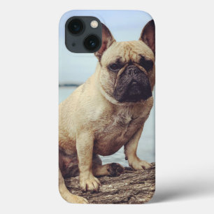 French Bulldog iPhone 13 Case