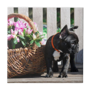 French bulldog ceramic tile
