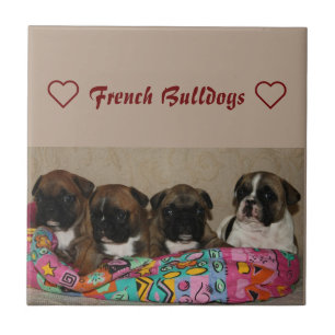 French bulldog ceramic tile