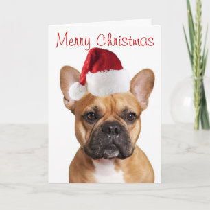 French Bulldog Christmas card