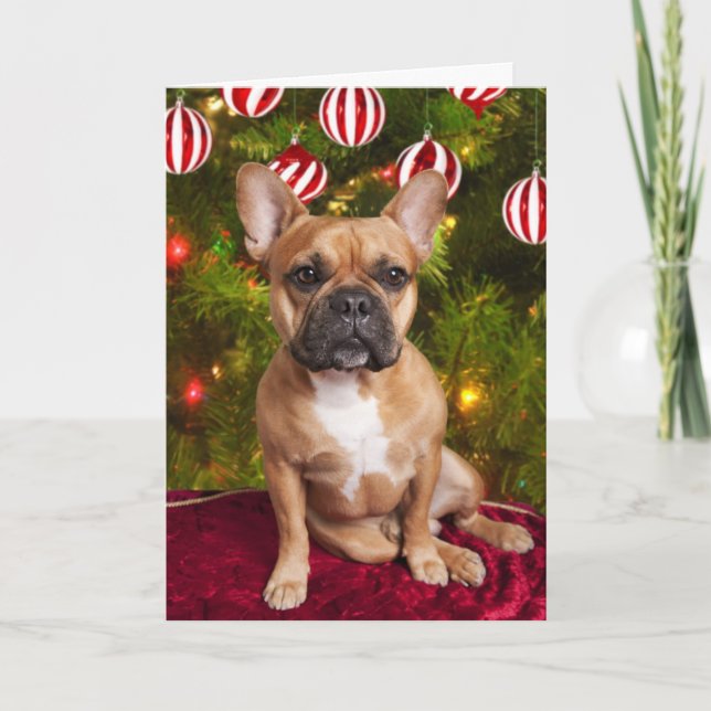 French Bulldog Christmas card (Front)