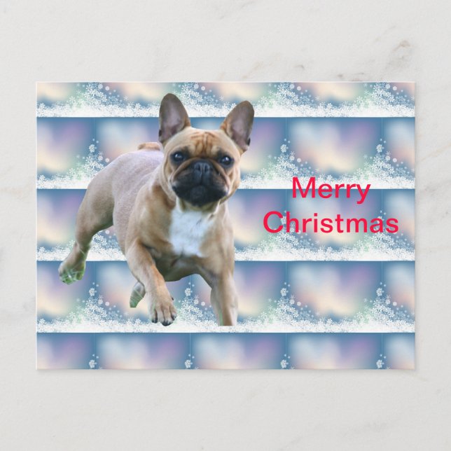 French Bulldog Christmas card (Front)