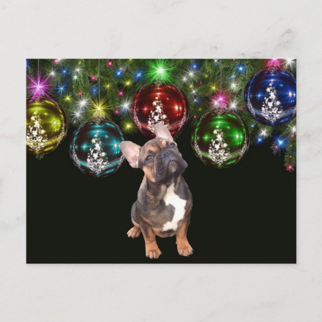 French Bulldog Christmas Card Christmas (Front)